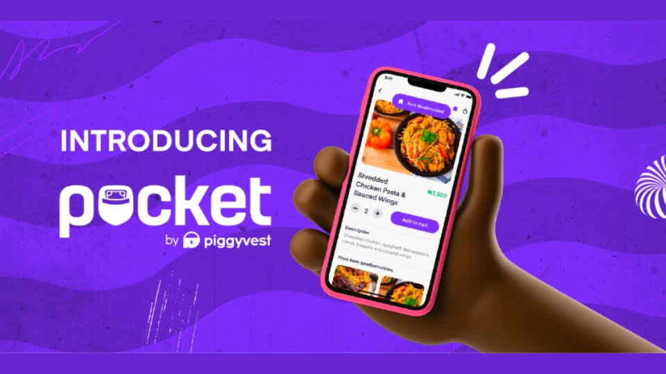 7 Ways to Make Money with Pocket App by Piggyvest Bizvestor